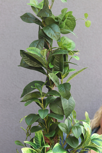 Green Belledia Concrete, sztuczna roślina w betonowej donicy