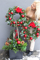 Deluxe Christmas Exclusive, świąteczna kompozycja do twojej donicy