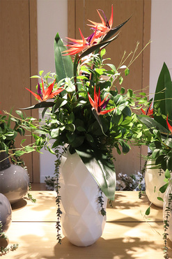 Strelicja Moko Big, egzotyczny bukiet do wazonu, wys.90cm