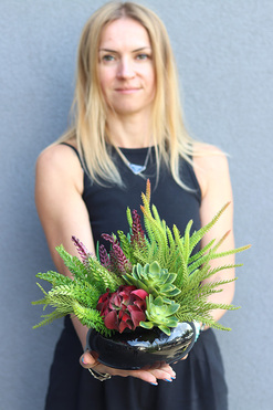 Green Design A, kompozycja sukulenty w czarnej donicy, wym.25x26cm