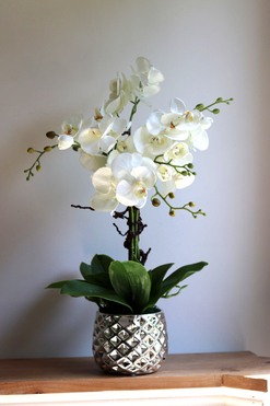 Louisiana Silver, sztuczny storczyk w lustrzanej donicy, wys.66cm