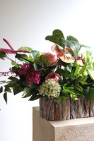 Leddenia, dekoracja nagrobna w skrzynce, wym.80x32x35cm