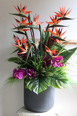 Strelicja&Orchidea Concrete, egzotyczna kompozycja, wys.105cm 