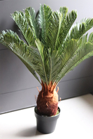 Cykas, sztuczna roślina w osłonce z tworzywa sztucznego