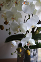 Silver Fredda, sztuczny storczyk w donicy