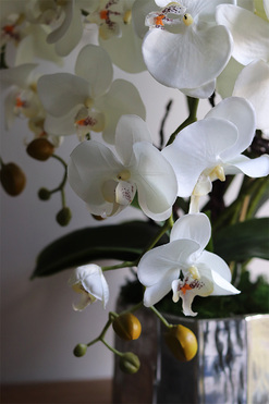 Silver Fredda, sztuczny storczyk w donicy, wys.55cm 