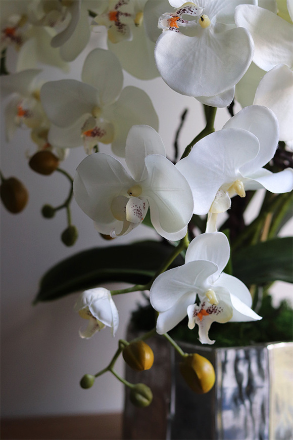 Silver Fredda, sztuczny storczyk w donicy