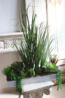 Arizona, kompozycja trawy & sukulenty do twojej donicy, wys.80cm