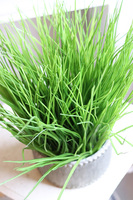 Delina Casa Creme, kompozycja ze sztucznych traw