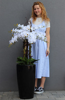 Lechuza Grande Premium, sztuczny storczyk