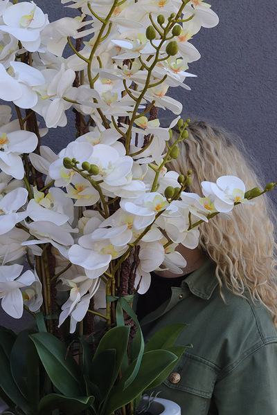 Grande Luise Fiberglass, gumowy storczyk w białej donicy