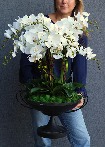 Pałacowa Komnata, elegancki storczyk w pucharze