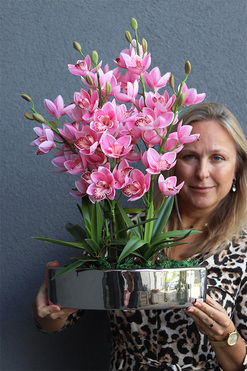 Barbie Manfredo, sztuczny storczyk w doniczce, wys.60cm