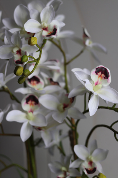 Tajlandia Banerra, sztuczny storczyk w minimalistycznej donicy