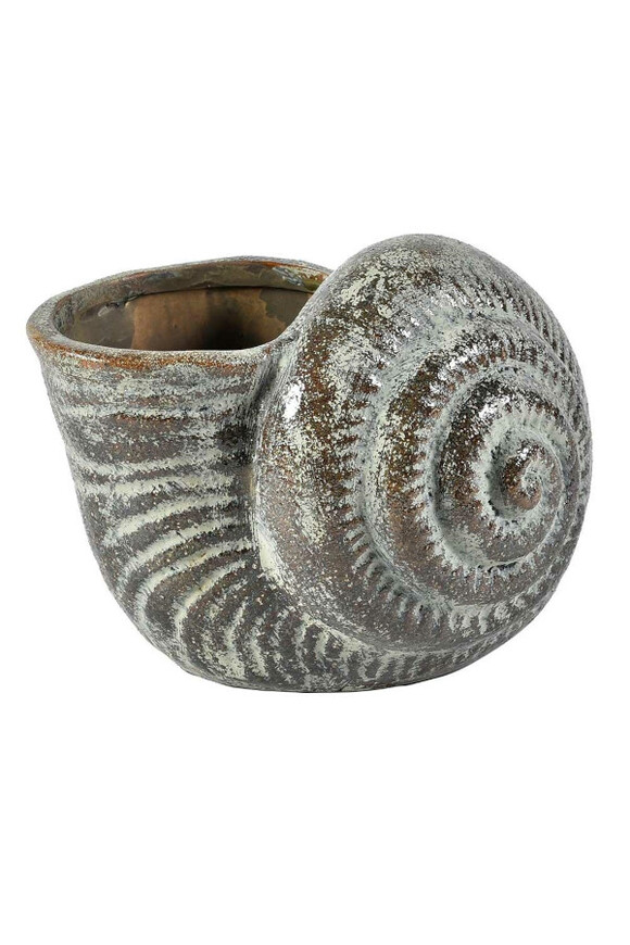 Antique osłonka muszla ceramiczna