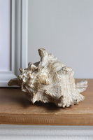 Marine, figurka dekoracyjna, muszla