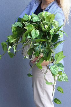  Hoja Golden Moment, sztuczna roślina w złotej donicy, wys.35/60cm