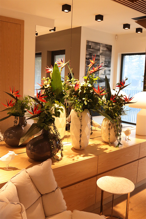 Strelicja Moko Big, egzotyczny bukiet do wazonu