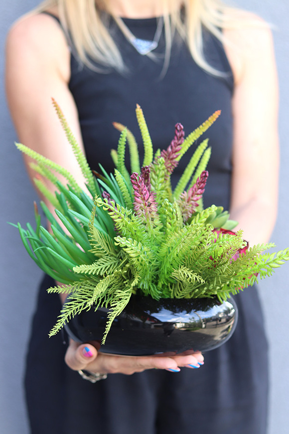 Green Design A, kompozycja sukulenty w czarnej donicy, wym.25x26cm