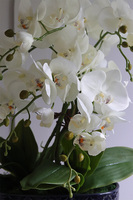 Dark Blue Orient 3, wysokiej jakości sztuczny storczyk