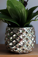 Louisiana Silver, sztuczny storczyk w lustrzanej donicy,