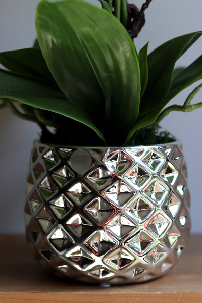 Louisiana Silver, sztuczny storczyk w lustrzanej donicy,