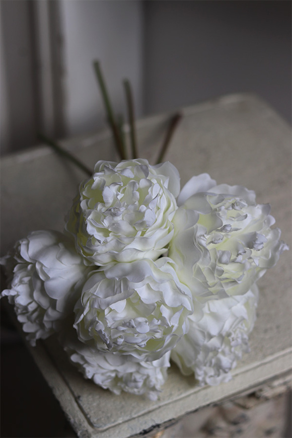 Bella Italia New, bukiet kremowych peoni