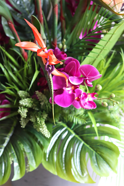 Strelicja&Orchidea Concrete, egzotyczna kompozycja