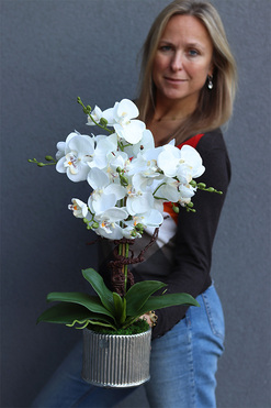 Silver Medilla, sztuczny storczyk w donicy, wys.62cm 