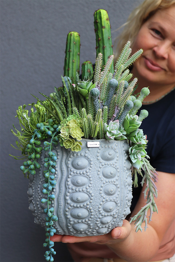 Zielona Redlena Cacti, sukulenty w donicy