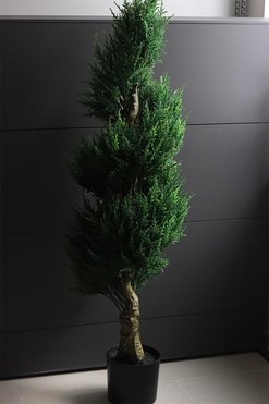 Cyprys, sztuczna roślina w doniczce, wys.145cm