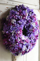 Hiacinte, bogaty wianek na drzwi z fioletowych hiacyntów, śr.38cm 