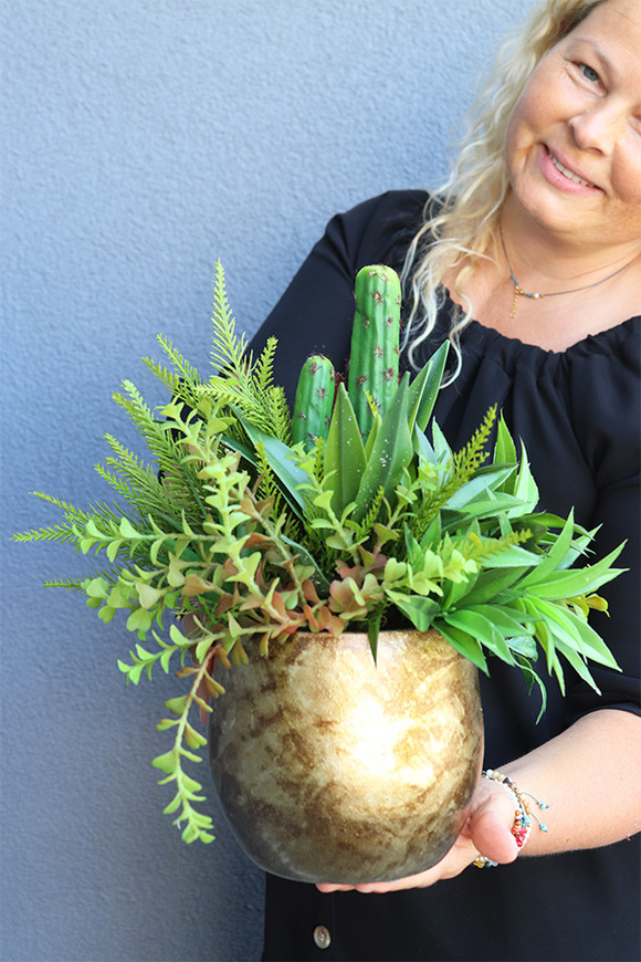 Green Cacti Hilton, sukulenty w złotej donicy