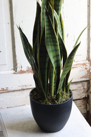 Sansewieria Yellow, sztuczna roślina w donicy, wys.65cm  