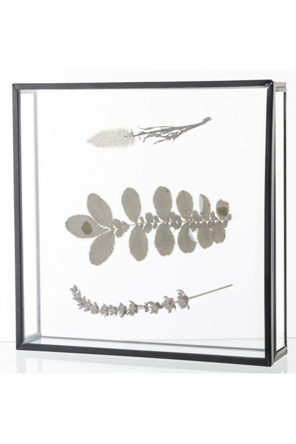 Botanika B, taca ze szklanym blatem