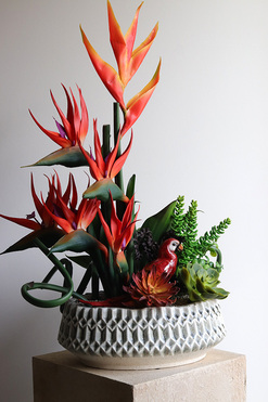 OD RĘKI Strelicja Papuga 2, egzotyczna kompozycja w donicy, wys.75cm