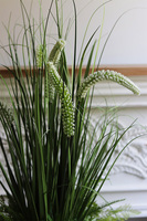 Hilton Green, kompozycja z trawami w srebrnej donicy