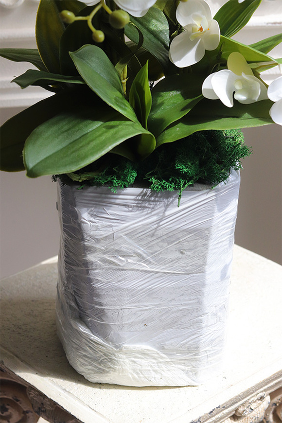 Refila Mediolan Saute, gumowy storczyk do Twojej donicy