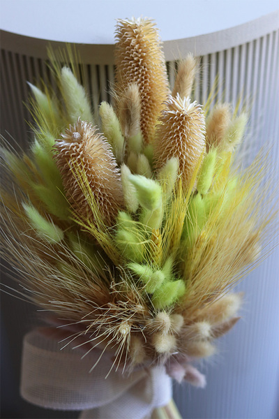 Pelargonia Red, kompozycja pelargonie w wiszącej donicy