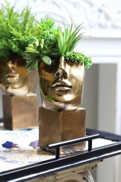 Suculentas Espana B, sukulenty w głowie kompozycja, wys.30cm 