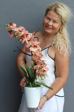 Granada Simple, gumowy storczyk w prostej donicy, wys.63cm