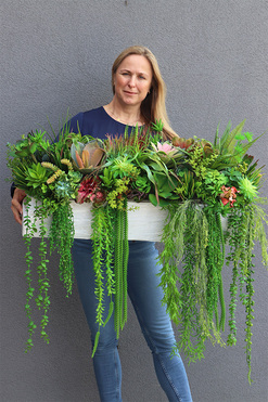 Dalila 1, kompozycja sukulenty do twojej donicy, wym.44x85x35cm 