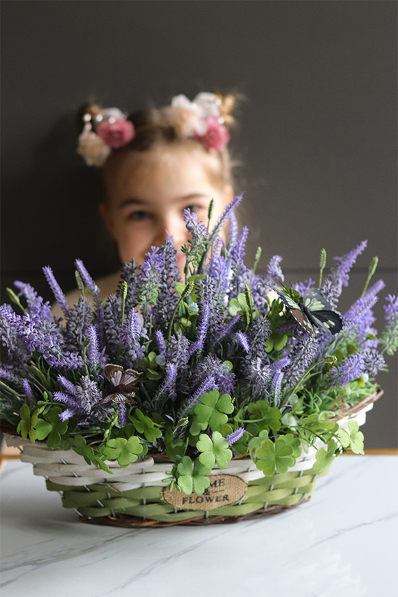 Lavendi Butterfly, lawenda w koszu z motylami