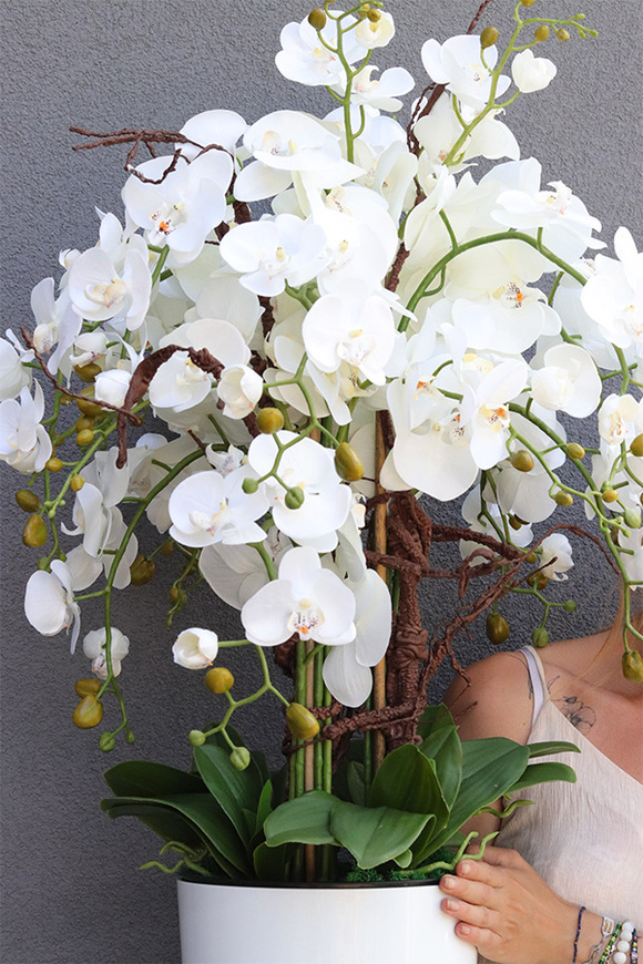 Mediolan, sztuczny storczyk w wysokiej donicy