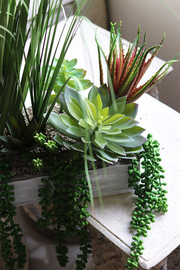 Arizona, kompozycja trawy & sukulenty do twojej donicy, wys.80cm