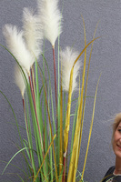 Naturiso Basket, sztuczna trawa pampasowa w koszu, wys.150cm