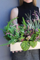 Pink Steel Modern, sukulenty w stalowej donicy