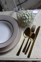 sztućce obiadowe dla 4 os., Sakramento Gold, 16 elementów