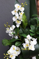 Orchidera Classica, bukiet nagrobny we wkładzie	