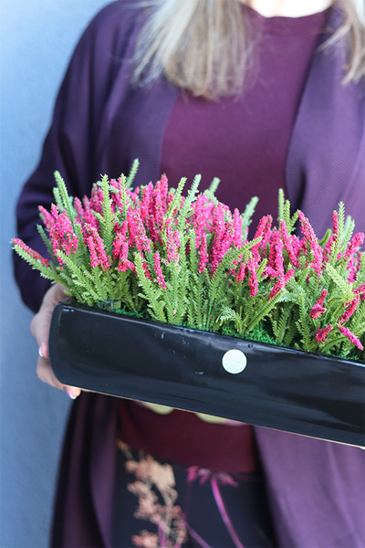 Wrzosy Cipriano Amarant, kompozycja kwiatowa w czarnej donicy